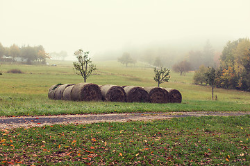 Image showing haystacks or hay rolls on summer field