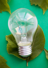 Image showing close up of bulb or incandescent lamp on green