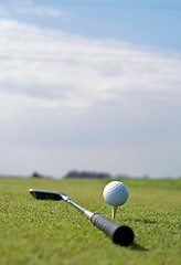 Image showing Golf ball in tall green grass set against blue sky