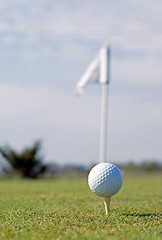 Image showing Golf ball in tall green grass set against blue sky