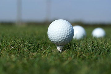 Image showing Golf ball in tall green grass