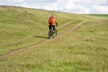 Image showing Young man cycling on a rural road through green meadow