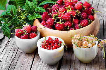 Image showing raspberry and currants