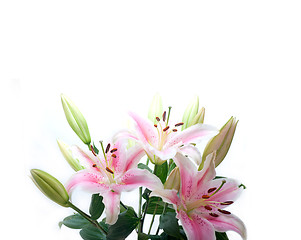 Image showing pink lily flower bouquet