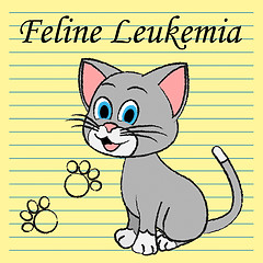 Image showing Feline Leukemia Represents Domestic Cat Cancer Illness