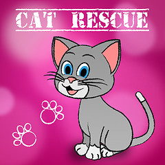 Image showing Cat Rescue Indicates Pets Saving And Recovering