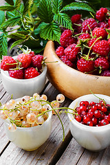 Image showing raspberry and currants