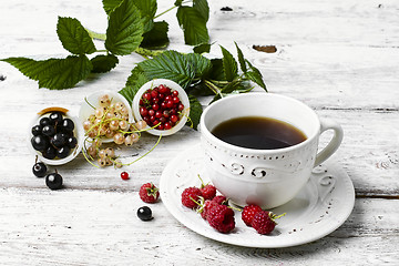 Image showing Cup of berry tea