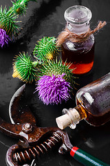 Image showing Medicine from the Thistle