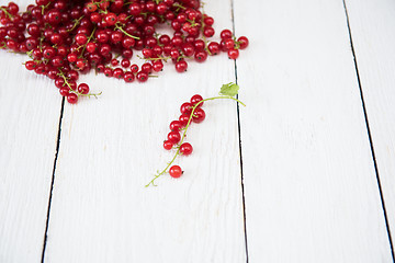 Image showing Fresh red currants