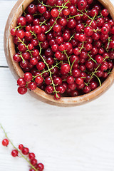Image showing Fresh red currants