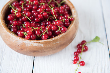 Image showing Fresh red currants