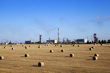 Image showing stack of straw in the field  