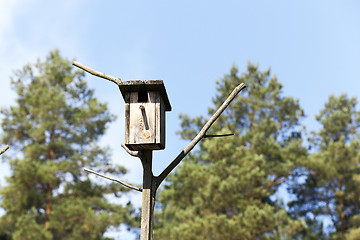 Image showing birdhouse from a tree  