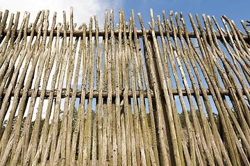 Image showing fence of twigs  