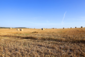 Image showing haystacks in a field of straw 