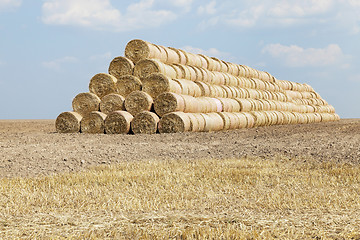 Image showing cereal harvest, summer  