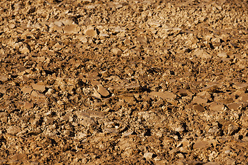 Image showing  plowed land. close-up.