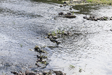 Image showing swamp, the end of summer  