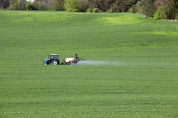 Image showing Processing of cereal  