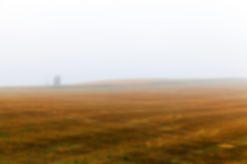 Image showing tree in the field  