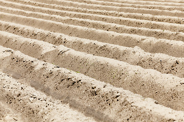 Image showing plowed land. close-up  