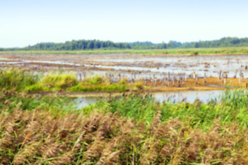 Image showing moorland, summer time 