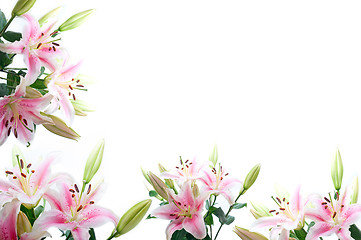 Image showing lily flowers composition frame