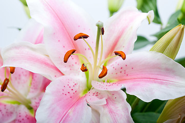 Image showing pink lily flower bouquet