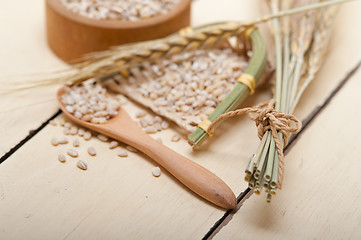 Image showing organic wheat grains 