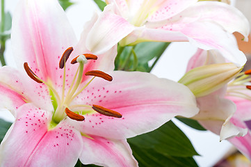 Image showing pink lily flower bouquet