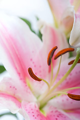 Image showing pink lily flower bouquet