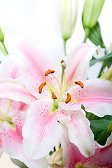 Image showing pink lily flower bouquet