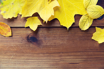 Image showing close up of many different fallen autumn leaves