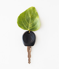 Image showing close up of car key and green leaf