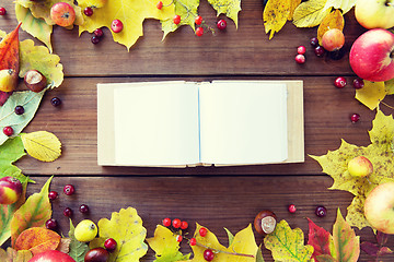 Image showing empty book with autumn leaves, fruits and berries