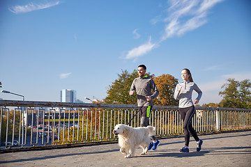 Image showing happy couple with dog running outdoors