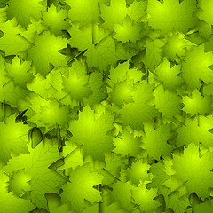 Image showing Green summer leaves texture