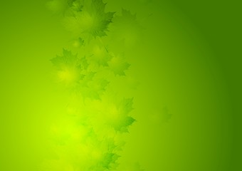 Image showing Abstract summer background with green leaves