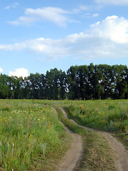 Image showing wagon road