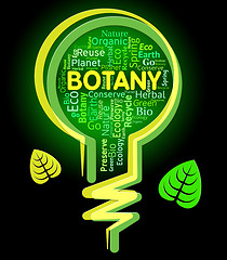Image showing Botany Lightbulb Represents Nature Rural And Eco