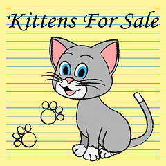 Image showing Kittens For Sale Shows Cats On Market And Advertisement