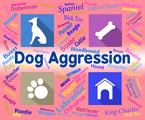 Image showing Dog Aggression Represents Angry Aggressor And Pet