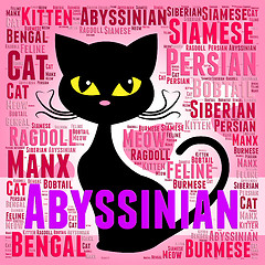 Image showing Abyssinian Cat Represents Shorthaired Kitty And Tabby