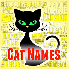 Image showing Cat Names Represents Pedigree Pets And Felines
