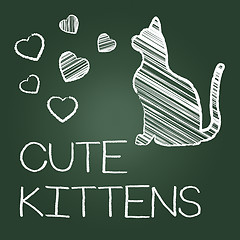 Image showing Cute Kittens Represents Domestic Cat And Adorable