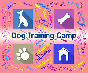 Image showing Dog Training Camp Indicates Group Trained And Coaching
