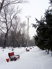 Image showing winter park�