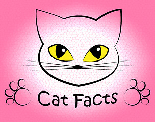 Image showing Cat Facts Shows Truth Data And Felines