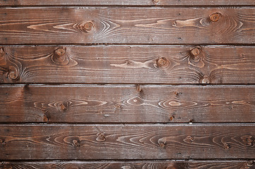 Image showing Natural background of wood with annual rings and knots